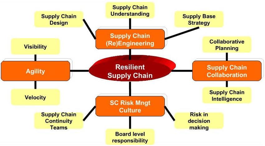 Building Resilient Supply Chains for Effective Risk Management